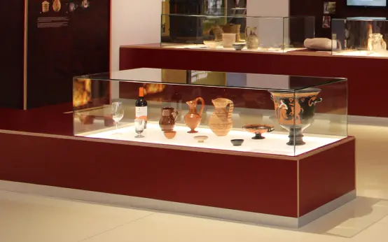 Arqueología del vino. Museo del Vino de Jumilla
