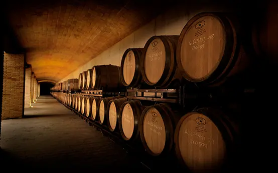 Sala de barricas en bodega