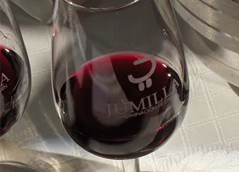 Copa de vino de Jumilla