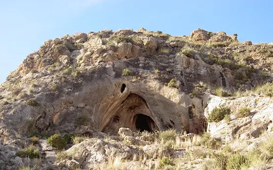 Cueva del Peliciego Cueva del Peliciego
