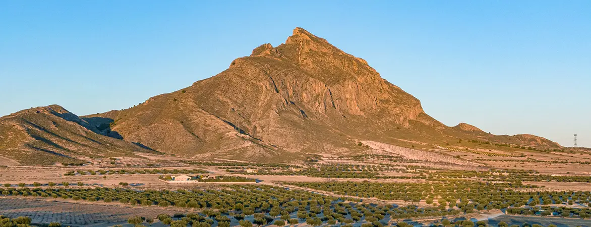 Panorámica de la Sierra de El Buey