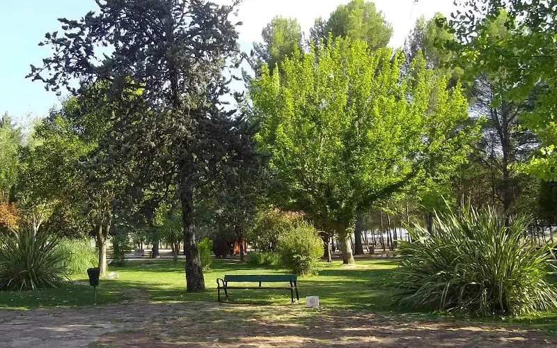 Jardín botánico Jardín botánico