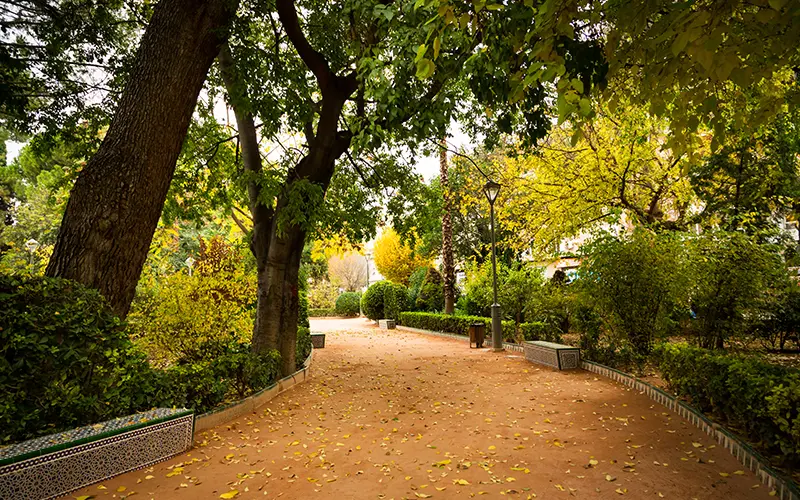 Jardín del Rey Don Pedro