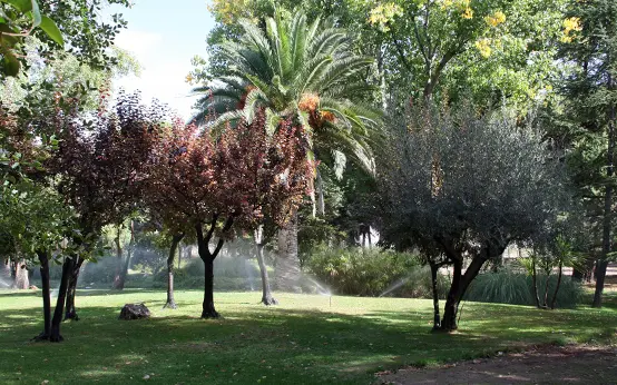 Jardín botánico en pedanía de la Estacada