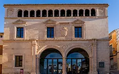 Palacio del Concejo Palacio del Concejo