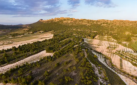 Panorámica de La Cingla Panorámica de La Cingla