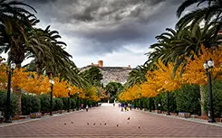 Paseo del Poeta Lorenzo Guardiola Paseo del Poeta Lorenzo Guardiola