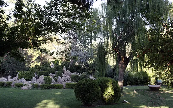 Pedanías de Jumilla. Jardín Botánico