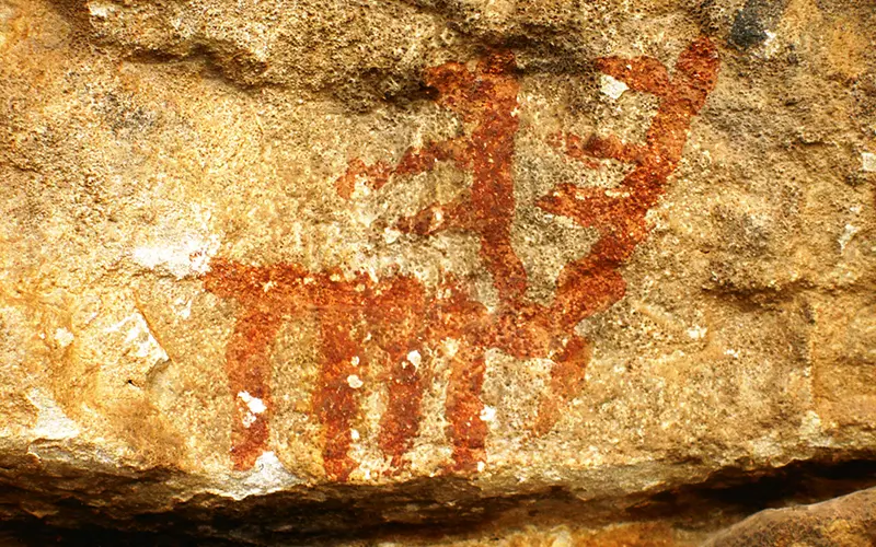 Pintura rupestre de la Cingla con forma de ciervo