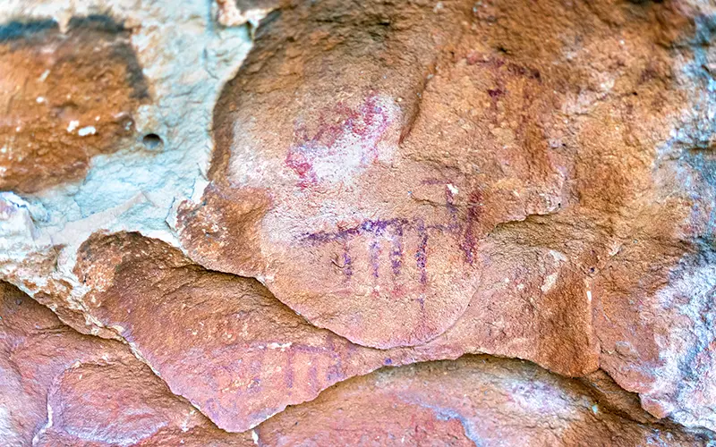 Pinturas rupestres figuras ciervos en la Pedrera