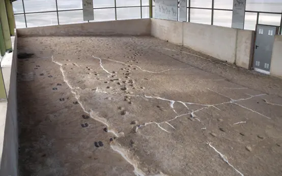Pisadas en el Yacimiento de Hoya de la Sima Pisadas en el Yacimiento de Hoya de la Sima