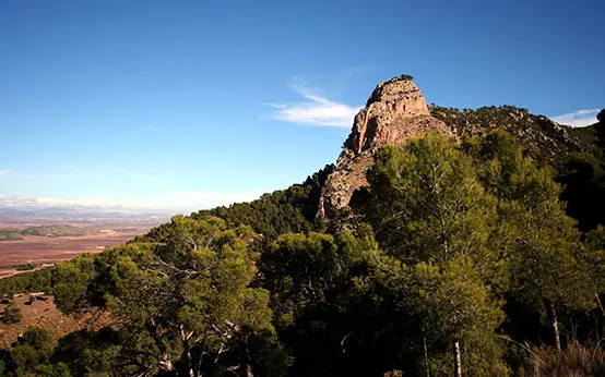 Vista montaña Jumilla